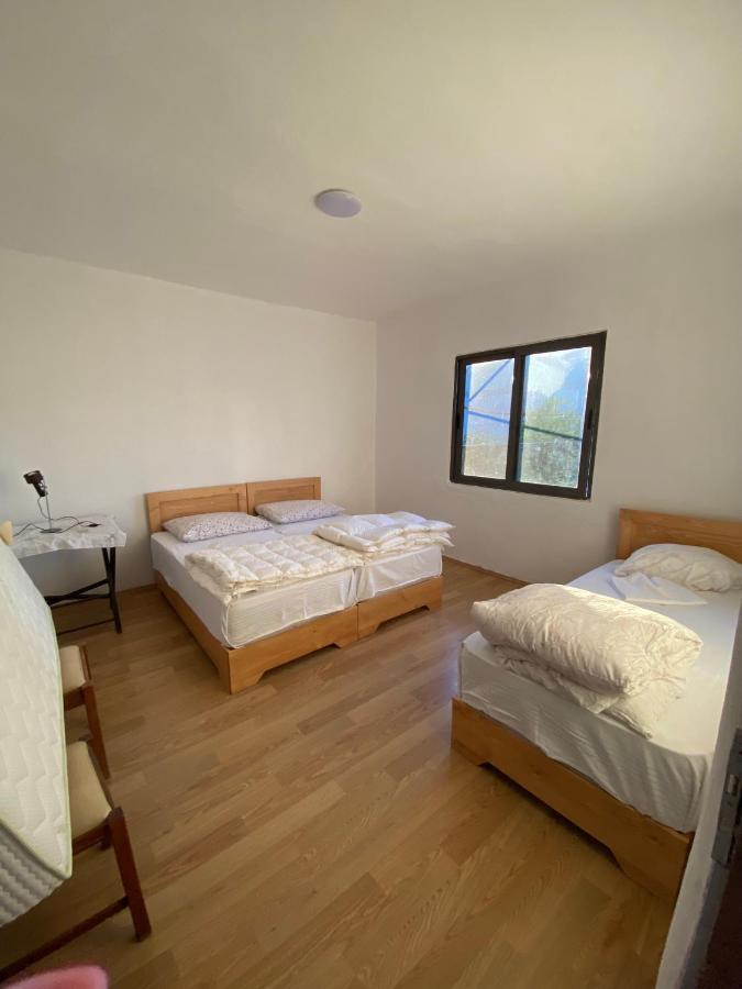 Rupa Guest House Camping Szkodra Zewnętrze zdjęcie